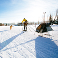Winter---Riverbend---Skier-&-Dog-Pulling-Sled---landscape-120x120
