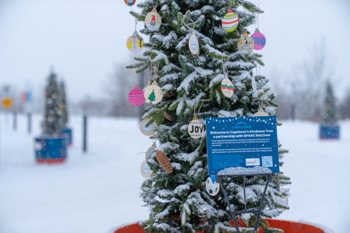 Capstone’s Kindness Tree encourages kindness 2