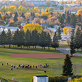 Fall---Coming-Down-ASH-Hill-to-the-Football-Game---Landscape120-x-120