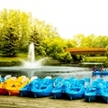 Summer - Bower Ponds - Paddle Boats - Landscape- 120 x 120