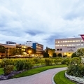 Summer - Downtown - City Hall Building Looking From One Of The Pathways In City Hall Park - Landscape- 120 x 120.jpg