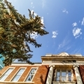 Summer - Downtown - Old Court House Looking Up - Landscape - 1- 120 x 120