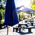 Summer - Downtown - Ross Street Patio - Tables With Umbrellas - Portrait- 120 x 120