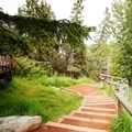 Summer - Unknown - Staircase into Park System - Landscape- 120 x 120