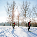 Winter---Riverbend---Youth-Skiing-Around-Trees-5---landscape-120x120