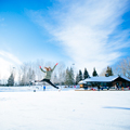 Winter---bower-ponds---figure-skater-jumping-2---landscape-120x120