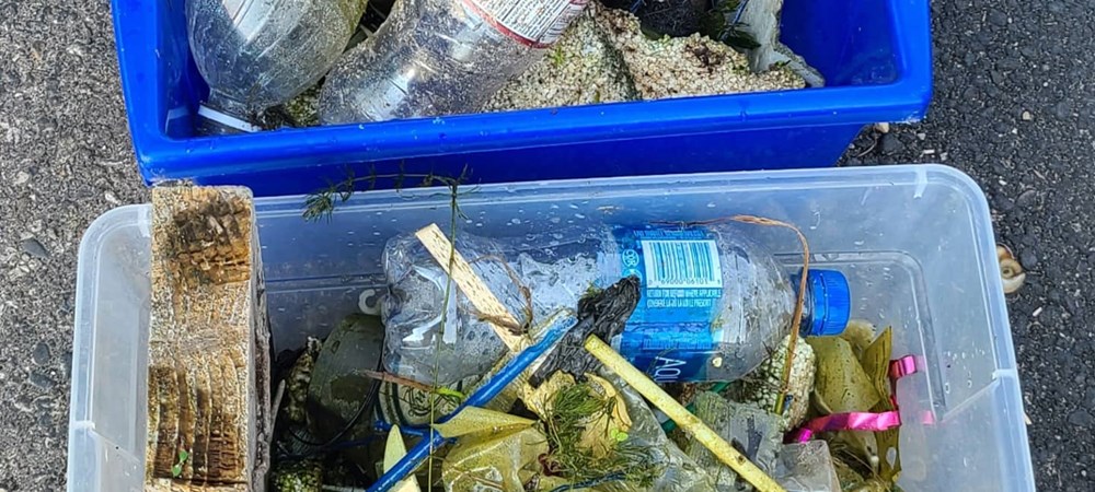 Bower Ponds Clean Up