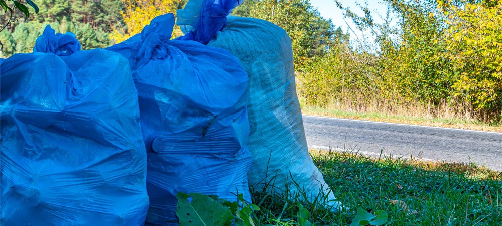 Pick up garbage