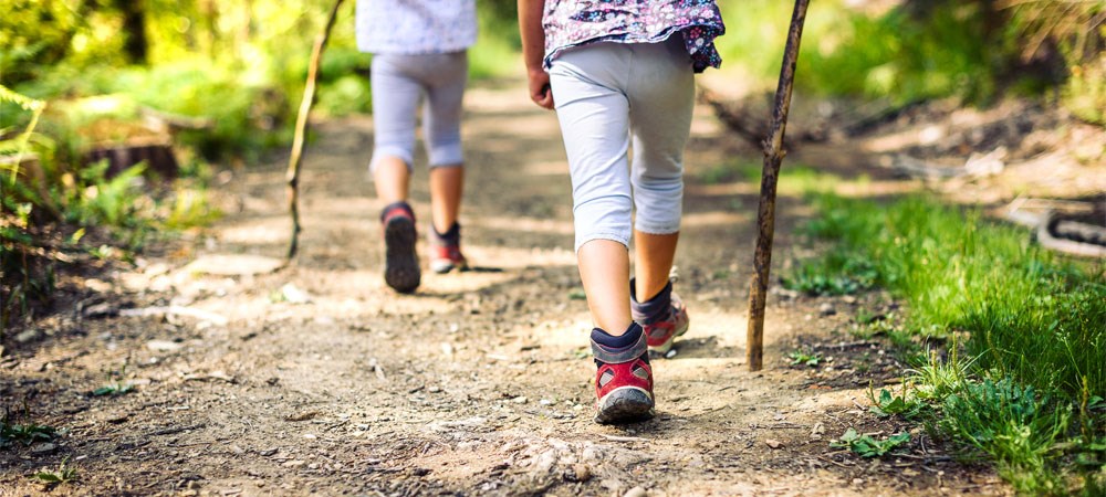 Explore the trails